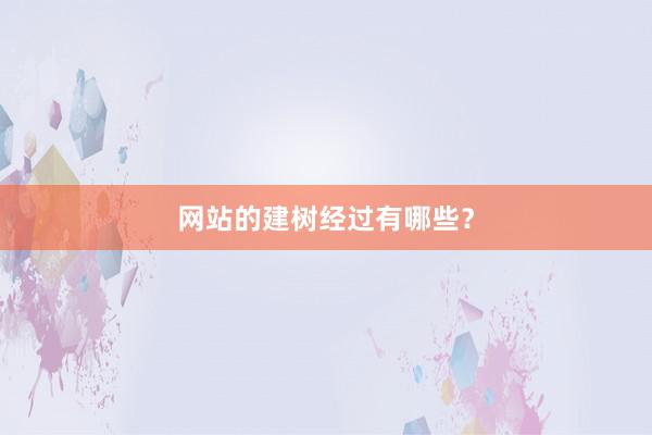 网站的建树经过有哪些?